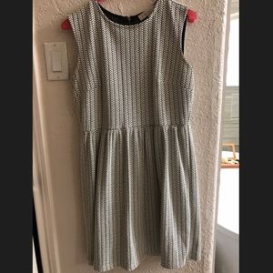 Loft simple black and white mini dress